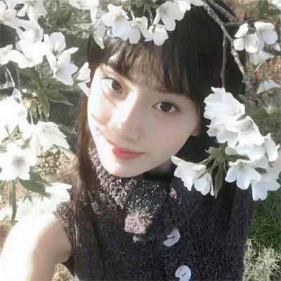 崭新夏日